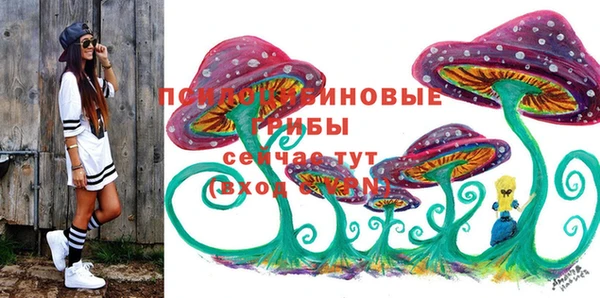 сатива Заволжск