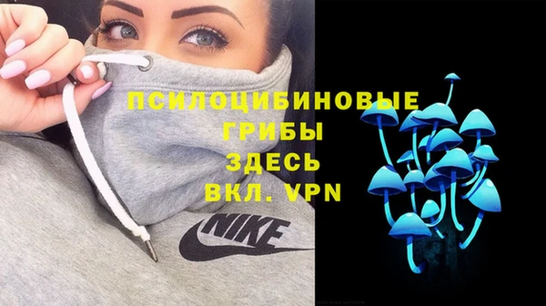 ешки Заводоуковск