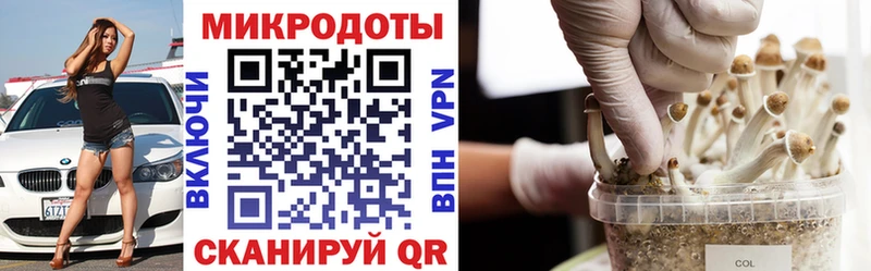 Псилоцибиновые грибы GOLDEN TEACHER  Купить  Дубна 